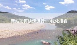 新站如何快速进行SEO优化排名