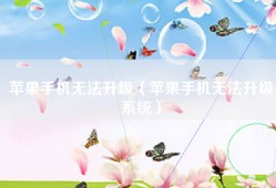 苹果手机无法升级（苹果手机无法升级系统）