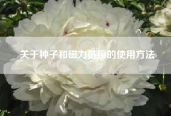 关于种子和磁力链接的使用方法
