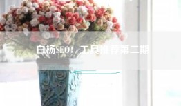 白杨SEO：工具推荐第二期