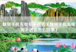 魅族手机充电充不进去（魅族手机充电充不进去怎么回事）
