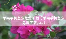 苹果手机怎么免费下载（苹果手机怎么免费下载pubg）