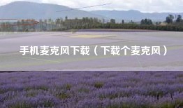 手机麦克风下载（下载个麦克风）