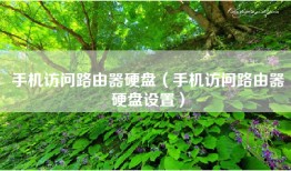 手机访问路由器硬盘（手机访问路由器硬盘设置）
