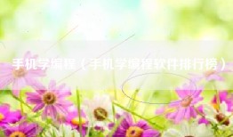 手机学编程（手机学编程软件排行榜）