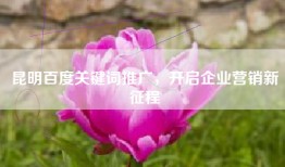 昆明百度关键词推广，开启企业营销新征程