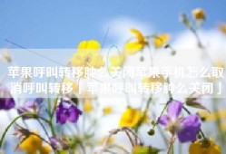 苹果呼叫转移肿么关闭苹果手机怎么取消呼叫转移「苹果呼叫转移肿么关闭」