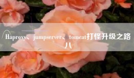 Haproxy、jumpserver、tomcat打怪升级之路八