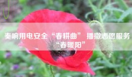 奏响用电安全“春耕曲” 播撒志愿服务“春暖阳”