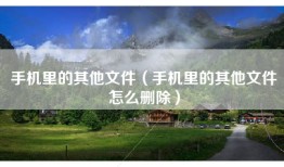 手机里的其他文件（手机里的其他文件怎么删除）