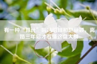 有一种“算计”叫冯绍峰和赵丽颖，离婚三年后才看懂这盘大棋