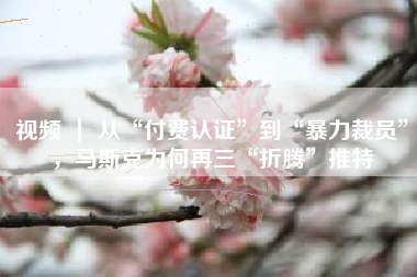 视频 ｜ 从“付费认证”到“暴力裁员”，马斯克为何再三“折腾”推特
