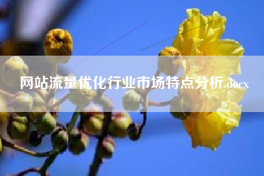网站流量优化行业市场特点分析.docx