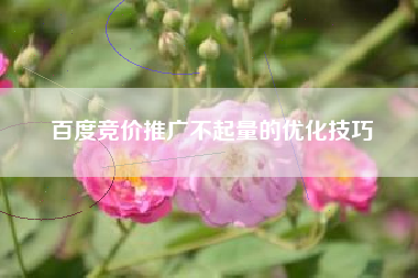 百度竞价推广不起量的优化技巧