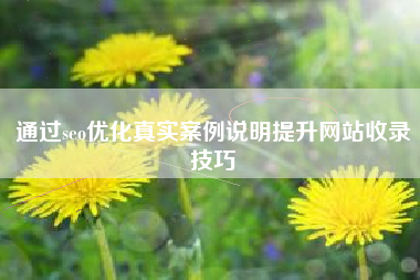 通过seo优化真实案例说明提升网站收录技巧