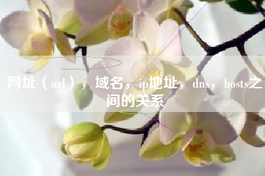 网址(url),域名,ip地址,dns,hosts之间的关系 网址(url),域名,ip地址,dns,hosts之间的关系