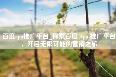百度app推广平台_探索百度 App 推广平台，开启无限可能的营销之旅
