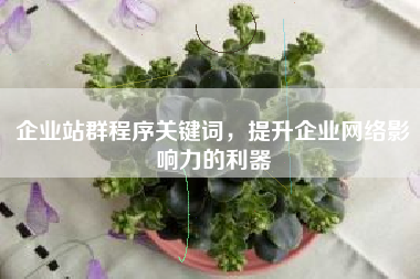 企业站群程序关键词，提升企业网络影响力的利器
