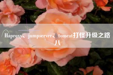Haproxy、jumpserver、tomcat打怪升级之路八