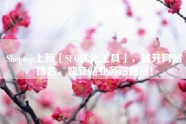 Shoptop上新「SEO优化工具」，提升网站排名，独立站业务蹭蹭涨！