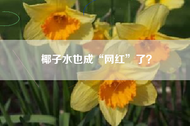 椰子水也成“网红”了？