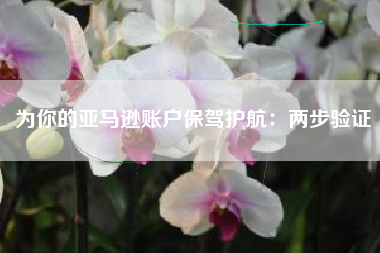 为你的亚马逊账户保驾护航：两步验证
