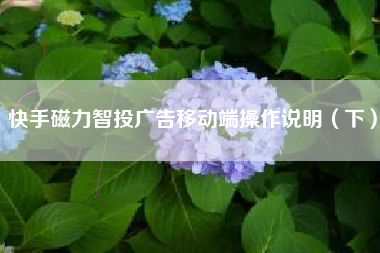 快手磁力智投广告移动端操作说明（下）