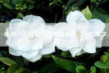 朱绚：关键词的挖掘与筛选，一起来学习
