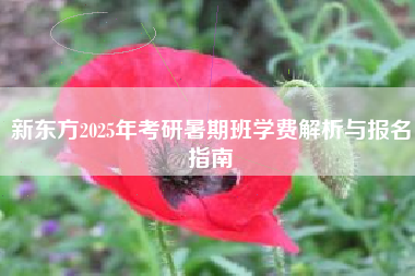新东方2025年考研暑期班学费解析与报名指南