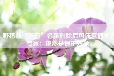 野猪从“三有”名录删除后可任意捕杀？专家：依然是保护对象