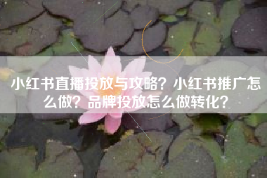 小红书直播投放与攻略？小红书推广怎么做？品牌投放怎么做转化？