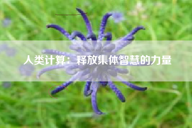 人类计算：释放集体智慧的力量
