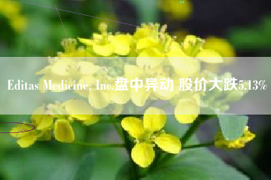 Editas Medicine, Inc.盘中异动 股价大跌5.13%