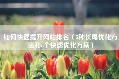 如何快速提升网站排名（5种长尾优化方法和6个快速优化方案）