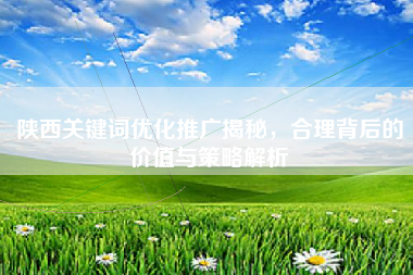 陕西关键词优化推广揭秘，合理背后的价值与策略解析