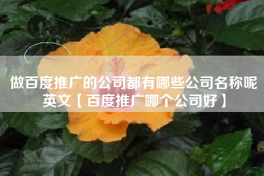 做百度推广的公司都有哪些公司名称呢英文【百度推广哪个公司好】