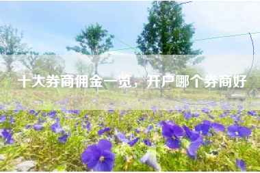 十大券商佣金一览，开户哪个券商好