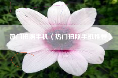 热门拍照手机（热门拍照手机推荐）