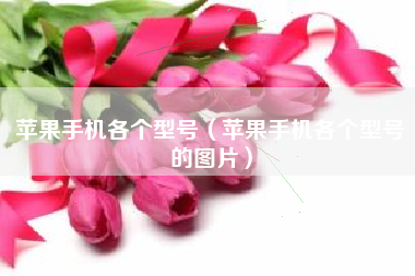 苹果手机各个型号（苹果手机各个型号的图片）