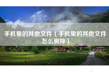 手机里的其他文件（手机里的其他文件怎么删除）