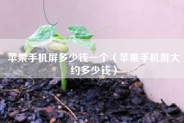 苹果手机屏多少钱一个（苹果手机屏大约多少钱）