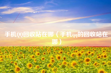 手机QQ回收站在哪（手机qq的回收站在哪）
