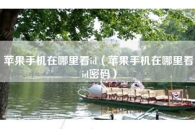 苹果手机在哪里看id（苹果手机在哪里看id密码）
