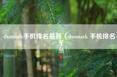 dxomark手机排名最新（dxomark 手机排名）