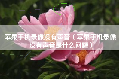 苹果手机录像没有声音（苹果手机录像没有声音是什么问题）