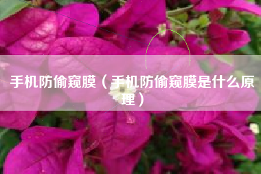 手机防偷窥膜（手机防偷窥膜是什么原理）