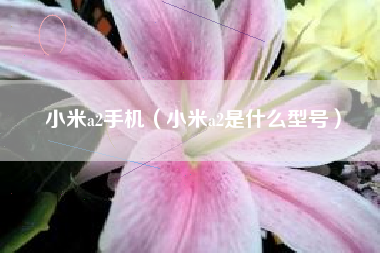 小米a2手机（小米a2是什么型号）