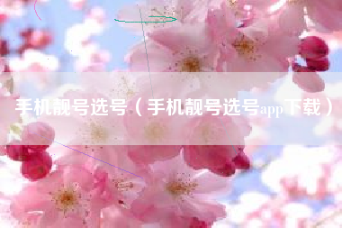 手机靓号选号（手机靓号选号app下载）
