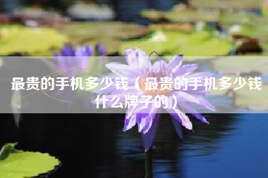 最贵的手机多少钱（最贵的手机多少钱什么牌子的）