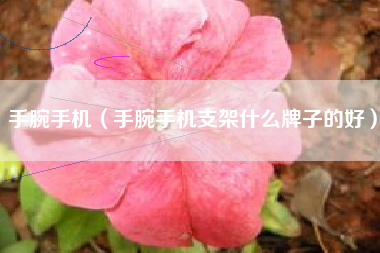 手腕手机（手腕手机支架什么牌子的好）